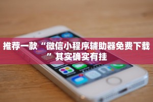 推荐一款“微信小程序辅助器免费下载”其实确实有挂