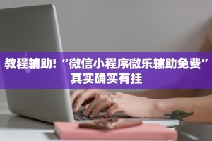 教程辅助!“微信小程序微乐辅助免费”其实确实有挂