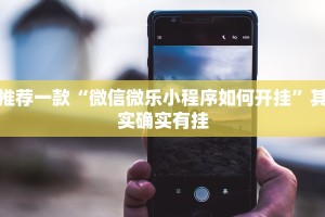 教程辅助!“鑫豪天地小九如何开挂”其实确实有挂