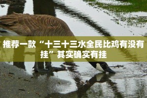 推荐一款“十三十三水全民比鸡有没有挂”其实确实有挂