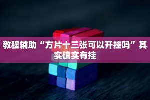 推荐一款“情怀棋牌作弊看牌器”其实确实有挂