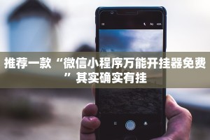 推荐一款“大懒人娱乐斗十四挂”其实确实有挂