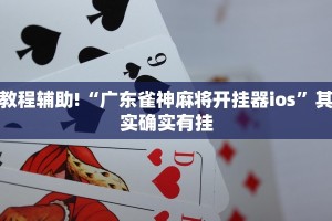 推荐一款“情怀棋牌作弊看牌器”其实确实有挂