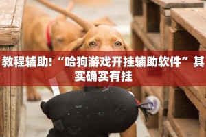 教程辅助!“哈狗游戏开挂辅助软件”其实确实有挂
