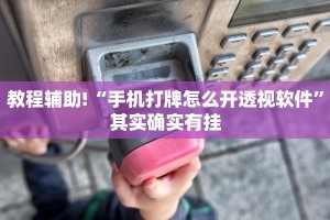 教程辅助!“手机打牌怎么开透视软件”其实确实有挂