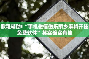教程辅助!“手机微信微乐家乡麻将开挂免费软件”其实确实有挂