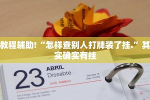 教程辅助!“怎样查别人打牌装了挂.”其实确实有挂