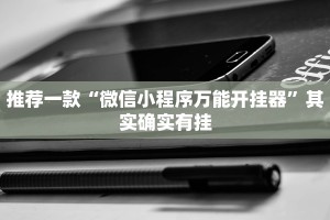 推荐一款“微信小程序万能开挂器”其实确实有挂