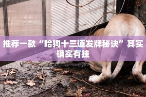 推荐一款“哈狗十三道发牌秘诀”其实确实有挂