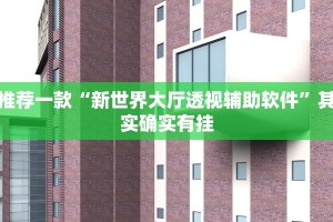 推荐一款“新世界大厅透视辅助软件”其实确实有挂