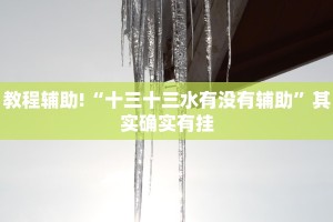 教程辅助!“十三十三水有没有辅助”其实确实有挂