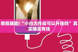 教程辅助!“小白大作战可以开挂吗”其实确实有挂