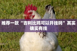 推荐一款“吉利比鸡可以开挂吗”其实确实有挂