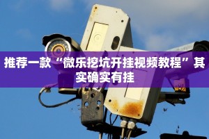 推荐一款“微乐挖坑开挂视频教程”其实确实有挂