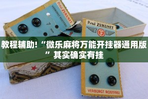 教程辅助!“微乐麻将万能开挂器通用版”其实确实有挂