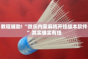推荐一款“哈灵麻将开挂神器下载安装”其实确实有挂