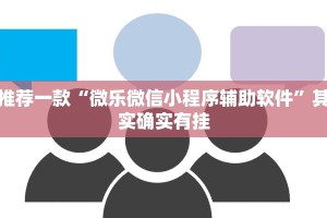 推荐一款“微乐微信小程序辅助软件”其实确实有挂