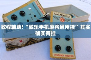 教程辅助!“微乐手机麻将通用挂”其实确实有挂