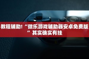 教程辅助!“微乐游戏辅助器安卓免费版”其实确实有挂