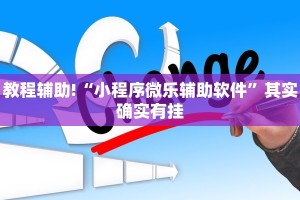 教程辅助!“小程序微乐辅助软件”其实确实有挂