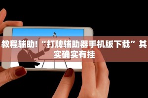 教程辅助!“打牌辅助器手机版下载”其实确实有挂
