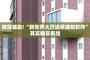教程辅助!“新世界大厅透视辅助软件”其实确实有挂