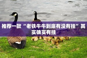 推荐一款“52麻将免费开挂神器”其实确实有挂