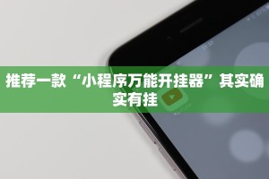推荐一款“小程序万能开挂器”其实确实有挂