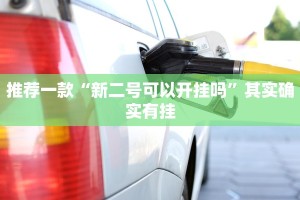教程辅助!“微乐辅助神器开挂下载”其实确实有挂