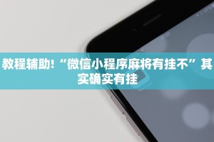 教程辅助!“微乐麻将怎么开挂打呢”其实确实有挂