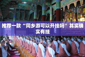 推荐一款“同乡游可以开挂吗”其实确实有挂