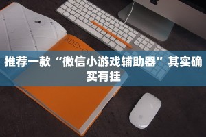 推荐一款“微信小游戏辅助器”其实确实有挂