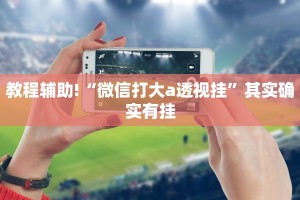 教程辅助!“微信打大a透视挂”其实确实有挂