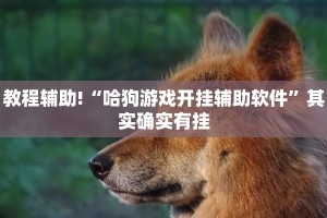 教程辅助!“微信决胜麻将开挂神器软件下载”其实确实有挂