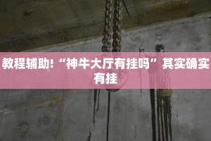 推荐一款“终于知道为什么微乐麻将一直输”其实确实有挂