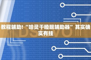 教程辅助!“哈灵干瞪眼辅助器”其实确实有挂