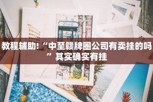 教程辅助!“中至赣牌圈公司有卖挂的吗”其实确实有挂