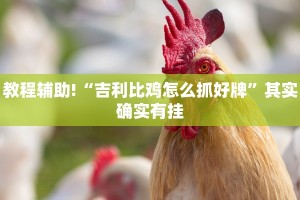教程辅助!“微信小程序家乡麻将开挂方法”其实确实有挂
