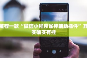 推荐一款“微信小程序雀神辅助插件”其实确实有挂