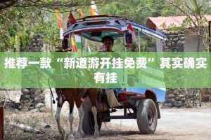 推荐一款“微乐河南麻将破解器”其实确实有挂