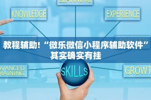 教程辅助!“微乐微信小程序辅助软件”其实确实有挂