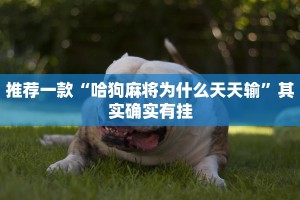 推荐一款“麻将开挂怎么看的出来”其实确实有挂