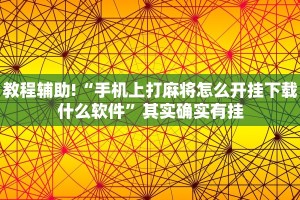 教程辅助!“手机上打麻将怎么开挂下载什么软件”其实确实有挂