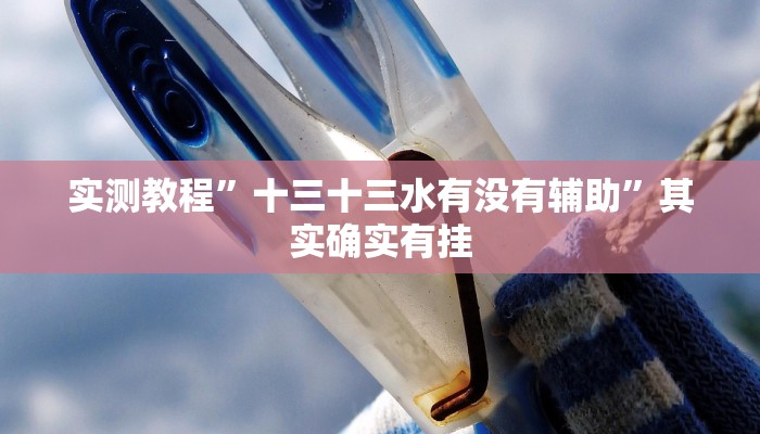 实测教程”莆仙吹牛有内置挂吗”其实确实有挂
