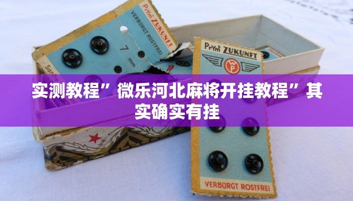 教程辅助“榕城510k开挂辅助软件”其实确实有挂