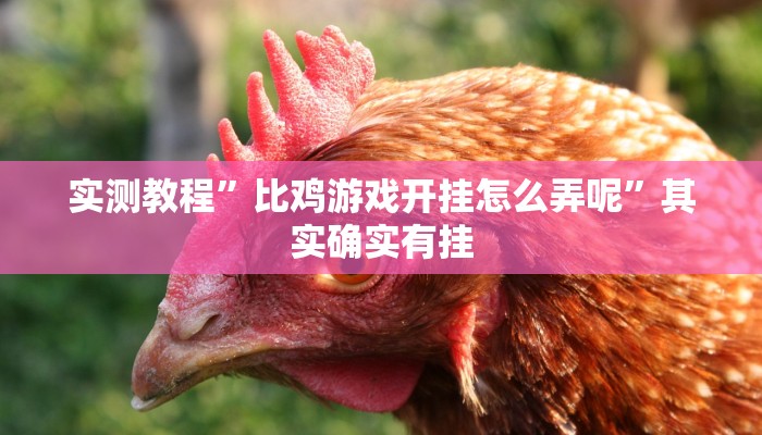 实测教程”比鸡游戏开挂怎么弄呢”其实确实有挂