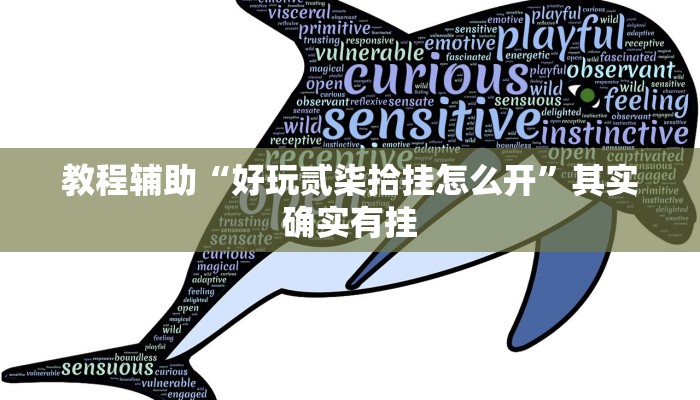 教程辅助“好玩贰柒拾挂怎么开”其实确实有挂