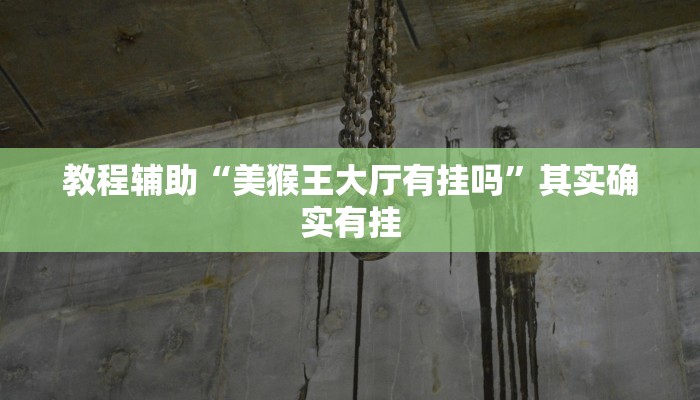 教程辅助“神皇大厅可以开挂吗”其实确实有挂