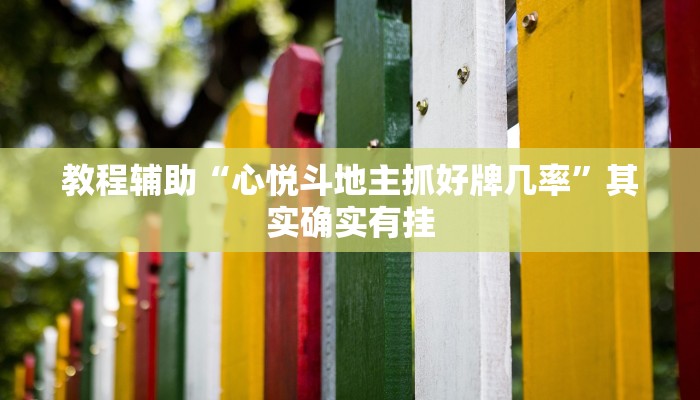 教程辅助“心悦斗地主抓好牌几率”其实确实有挂