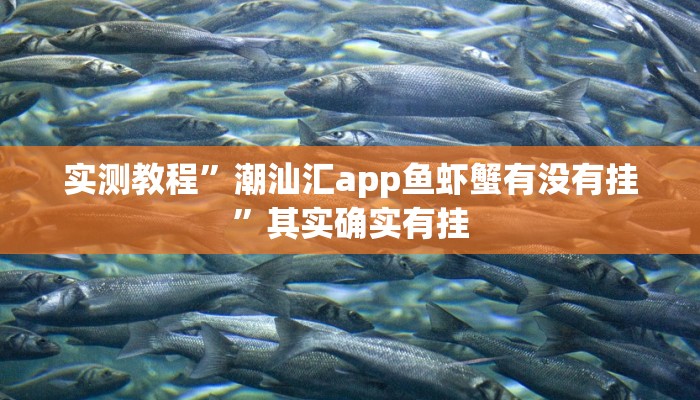 实测教程”17麻将众娱十三水胜率”其实确实有挂